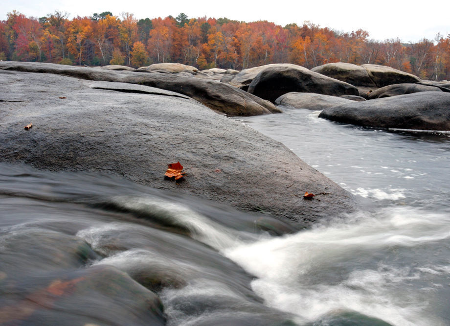 2008 Pony Pasture
